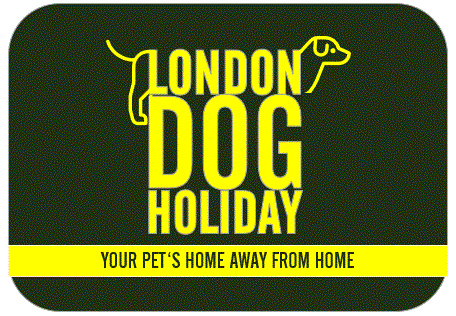 London Dog Holiday logo in yellow writing with a dark green background. Your pet´s home away from home.  Dog sitting, boarding, sleep-overs.
